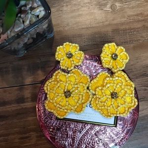 𝐸𝐴𝑅𝑅𝐼𝑁𝐺𝑆